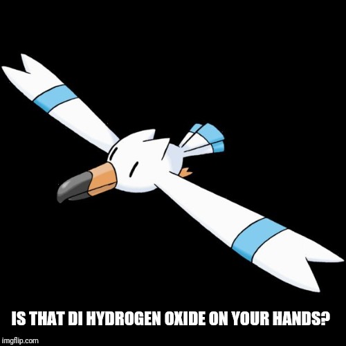 IS THAT DI HYDROGEN OXIDE ON YOUR HANDS? | image tagged in hydro the wingull | made w/ Imgflip meme maker