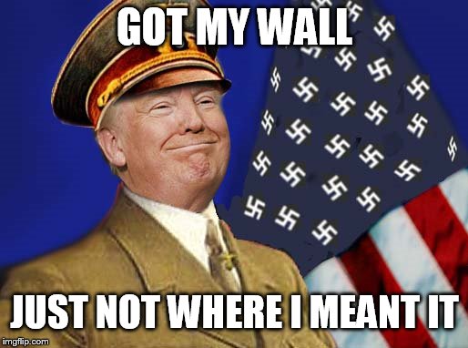 Nazi trump | GOT MY WALL JUST NOT WHERE I MEANT IT | image tagged in nazi trump | made w/ Imgflip meme maker