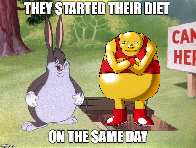 Big Chungus | THEY STARTED THEIR DIET; ON THE SAME DAY | image tagged in big chungus | made w/ Imgflip meme maker