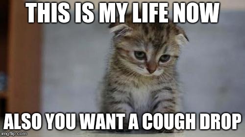 Sad kitten | THIS IS MY LIFE NOW; ALSO YOU WANT A COUGH DROP | image tagged in sad kitten | made w/ Imgflip meme maker