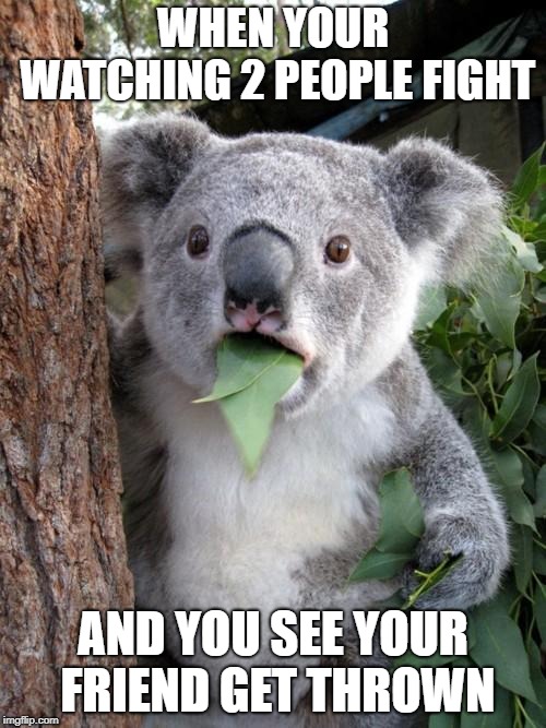 Surprised Koala | WHEN YOUR WATCHING 2 PEOPLE FIGHT; AND YOU SEE YOUR FRIEND GET THROWN | image tagged in memes,surprised koala | made w/ Imgflip meme maker