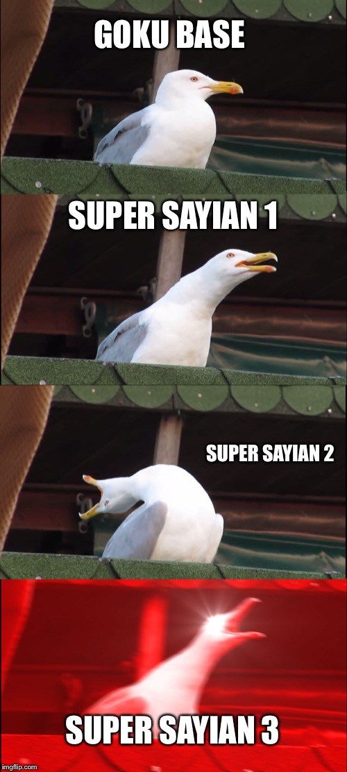 Inhaling Seagull | GOKU BASE; SUPER SAYIAN 1; SUPER SAYIAN 2; SUPER SAYIAN 3 | image tagged in memes,inhaling seagull | made w/ Imgflip meme maker