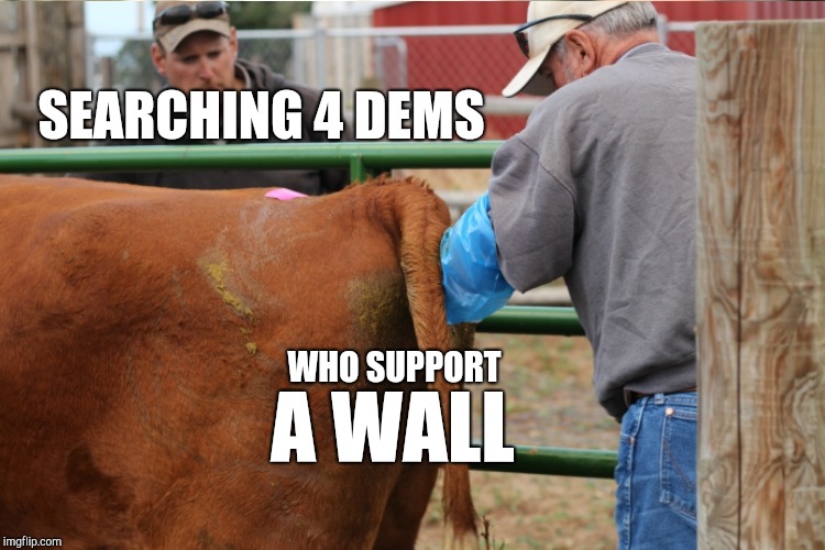 WHERE IS TRUMP'S BORDER WALL? | SEARCHING 4 DEMS; WHO SUPPORT; A WALL | image tagged in funny,memes,gifs | made w/ Imgflip meme maker