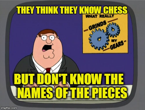 Peter Griffin News Meme | THEY THINK THEY KNOW CHESS BUT DON'T KNOW THE   NAMES OF THE PIECES | image tagged in memes,peter griffin news | made w/ Imgflip meme maker