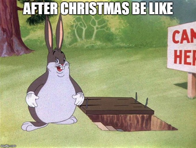 Big Chungus | AFTER CHRISTMAS BE LIKE | image tagged in big chungus | made w/ Imgflip meme maker