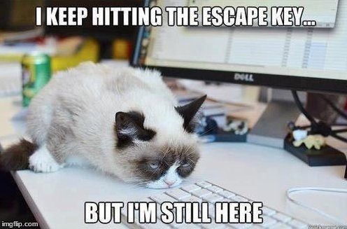 image tagged in grumpy cat,escape,depression | made w/ Imgflip meme maker