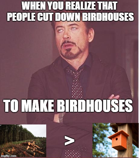 People need to watch how much we litter! #mission-save-the-forests-because-idk-any-other-better-title-to-write | WHEN YOU REALIZE THAT PEOPLE CUT DOWN BIRDHOUSES; TO MAKE BIRDHOUSES; > | image tagged in memes,face you make robert downey jr | made w/ Imgflip meme maker