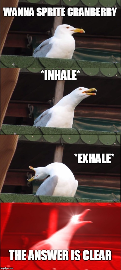 Inhaling Seagull | WANNA SPRITE CRANBERRY; *INHALE*; *EXHALE*; THE ANSWER IS CLEAR | image tagged in memes,inhaling seagull | made w/ Imgflip meme maker