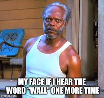 Wall | MY FACE IF I HEAR THE WORD “WALL” ONE MORE TIME | image tagged in wall | made w/ Imgflip meme maker