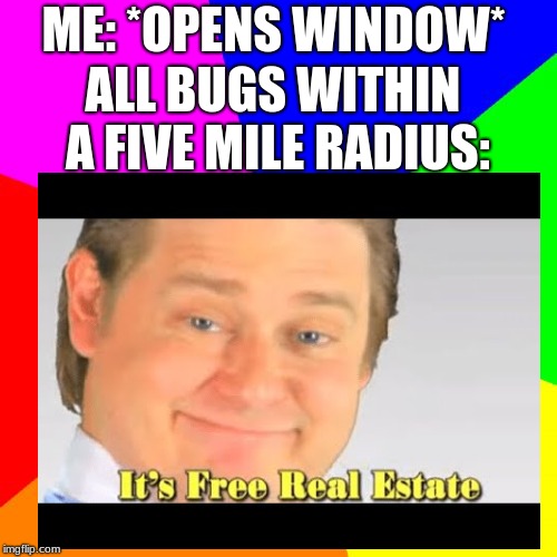 ME: *OPENS WINDOW*; ALL BUGS WITHIN A FIVE MILE RADIUS: | image tagged in first world problems | made w/ Imgflip meme maker