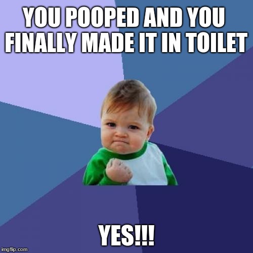 Success Kid Meme | YOU POOPED AND YOU FINALLY MADE IT IN TOILET; YES!!! | image tagged in memes,success kid | made w/ Imgflip meme maker