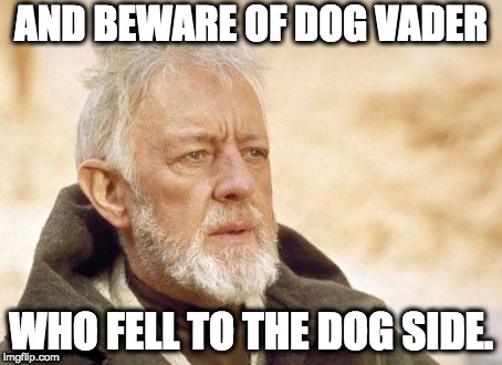 Obi Wan Kenobi Meme | AND BEWARE OF DOG VADER WHO FELL TO THE DOG SIDE. | image tagged in memes,obi wan kenobi | made w/ Imgflip meme maker
