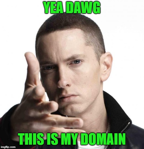 Eminem video game logic | YEA DAWG THIS IS MY DOMAIN | image tagged in eminem video game logic | made w/ Imgflip meme maker