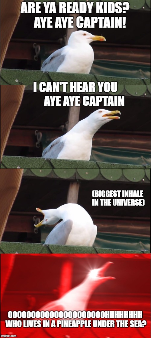 Inhaling Seagull Meme | ARE YA READY KIDS?   
AYE AYE CAPTAIN! I CAN'T HEAR YOU        AYE AYE CAPTAIN; (BIGGEST INHALE IN THE UNIVERSE); OOOOOOOOOOOOOOOOOOOOOHHHHHHHH WHO LIVES IN A PINEAPPLE UNDER THE SEA? | image tagged in memes,inhaling seagull | made w/ Imgflip meme maker