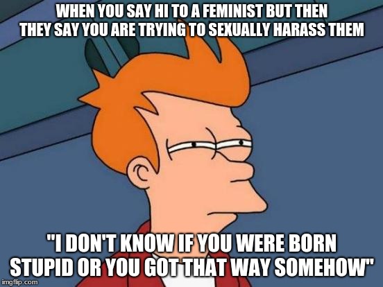 Futurama Fry | WHEN YOU SAY HI TO A FEMINIST BUT THEN THEY SAY YOU ARE TRYING TO SEXUALLY HARASS THEM; "I DON'T KNOW IF YOU WERE BORN STUPID OR YOU GOT THAT WAY SOMEHOW" | image tagged in memes,futurama fry | made w/ Imgflip meme maker