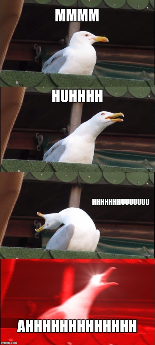 Inhaling Seagull Meme | MMMM; HUHHHH; HHHHHHHUUUUUUU; AHHHHHHHHHHHHH | image tagged in memes,inhaling seagull | made w/ Imgflip meme maker