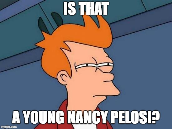 Futurama Fry Meme | IS THAT A YOUNG NANCY PELOSI? | image tagged in memes,futurama fry | made w/ Imgflip meme maker