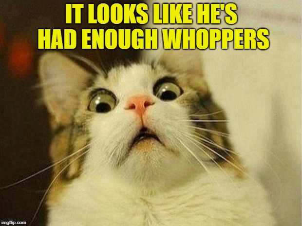 Scared Cat Meme | IT LOOKS LIKE HE'S HAD ENOUGH WHOPPERS | image tagged in memes,scared cat | made w/ Imgflip meme maker