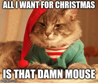 All I want for Christmas | ALL I WANT FOR CHRISTMAS; IS THAT DAMN MOUSE | image tagged in all i want for christmas | made w/ Imgflip meme maker