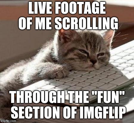 tired cat | LIVE FOOTAGE OF ME SCROLLING; THROUGH THE "FUN" SECTION OF IMGFLIP | image tagged in tired cat | made w/ Imgflip meme maker