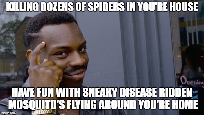 unless it's a black widow or a brown recluse spider, those need to die  | KILLING DOZENS OF SPIDERS IN YOU'RE HOUSE; HAVE FUN WITH SNEAKY DISEASE RIDDEN MOSQUITO'S FLYING AROUND YOU'RE HOME | image tagged in memes,roll safe think about it | made w/ Imgflip meme maker