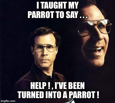 Will Ferrell | I TAUGHT MY PARROT TO SAY . . . HELP ! , I’VE BEEN TURNED INTO A PARROT ! | image tagged in memes,will ferrell,parrot,taught,help,sarcasm | made w/ Imgflip meme maker
