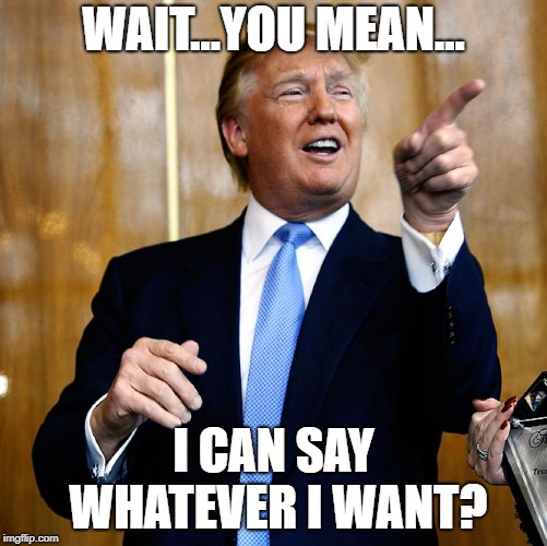 Donal Trump Birthday | WAIT...YOU MEAN... I CAN SAY WHATEVER I WANT? | image tagged in donal trump birthday | made w/ Imgflip meme maker