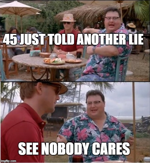 See Nobody Cares | 45 JUST TOLD ANOTHER LIE; SEE NOBODY CARES | image tagged in memes,see nobody cares | made w/ Imgflip meme maker