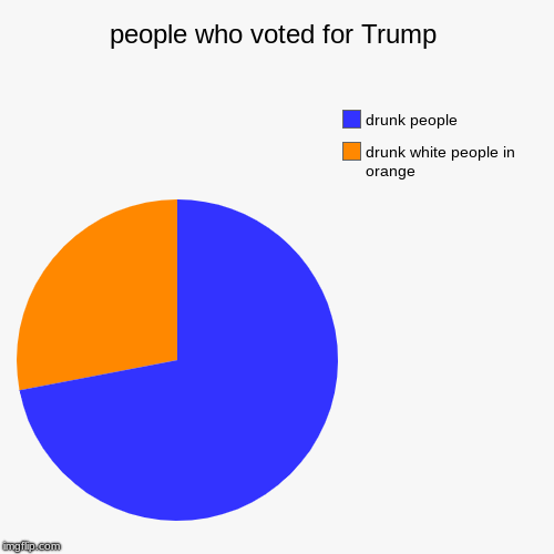 people who voted for Trump | drunk white people in orange, drunk people | image tagged in funny,pie charts | made w/ Imgflip chart maker