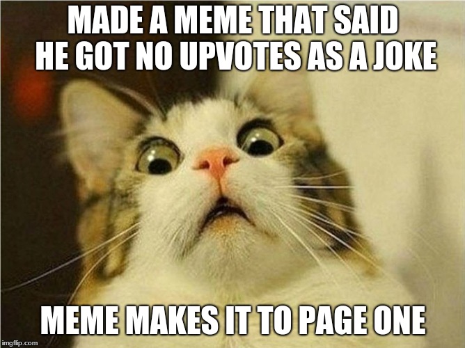 Suprised Cat | MADE A MEME THAT SAID HE GOT NO UPVOTES AS A JOKE; MEME MAKES IT TO PAGE ONE | image tagged in suprised cat | made w/ Imgflip meme maker