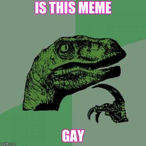 some memes are gay
 | IS THIS MEME; GAY | image tagged in memes,philosoraptor | made w/ Imgflip meme maker
