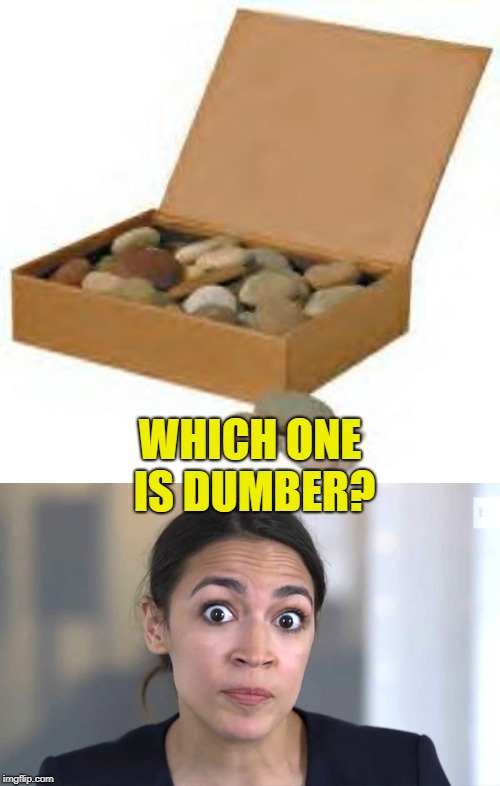Which one is dumber:  Alexandria Ocasio-Cortez or a box of rocks? | WHICH ONE IS DUMBER? | image tagged in political meme,alexandria ocasio-cortez,box of rocks,dumb,stupid democrat,tool | made w/ Imgflip meme maker