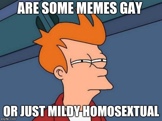 Futurama Fry Meme | ARE SOME MEMES GAY; OR JUST MILDY HOMOSEXTUAL | image tagged in memes,futurama fry | made w/ Imgflip meme maker