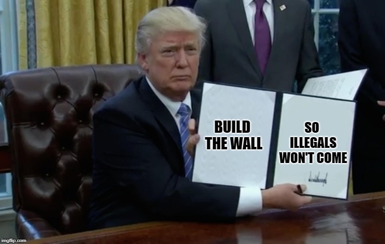 President Trump:  Build the wall so illegals won't come! | SO ILLEGALS WON'T COME; BUILD THE WALL | image tagged in executive order trump,illegals,political meme,stop illegal immigration | made w/ Imgflip meme maker