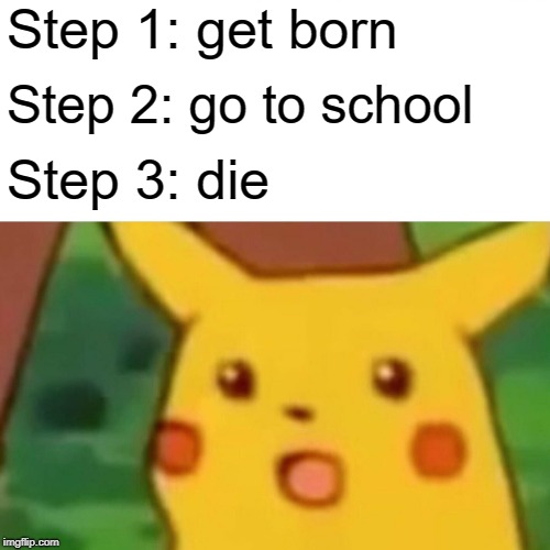 Surprised Pikachu | Step 1: get born; Step 2: go to school; Step 3: die | image tagged in memes,surprised pikachu | made w/ Imgflip meme maker