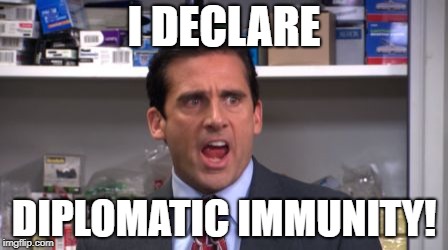 the office bankruptcy | I DECLARE; DIPLOMATIC IMMUNITY! | image tagged in the office bankruptcy | made w/ Imgflip meme maker