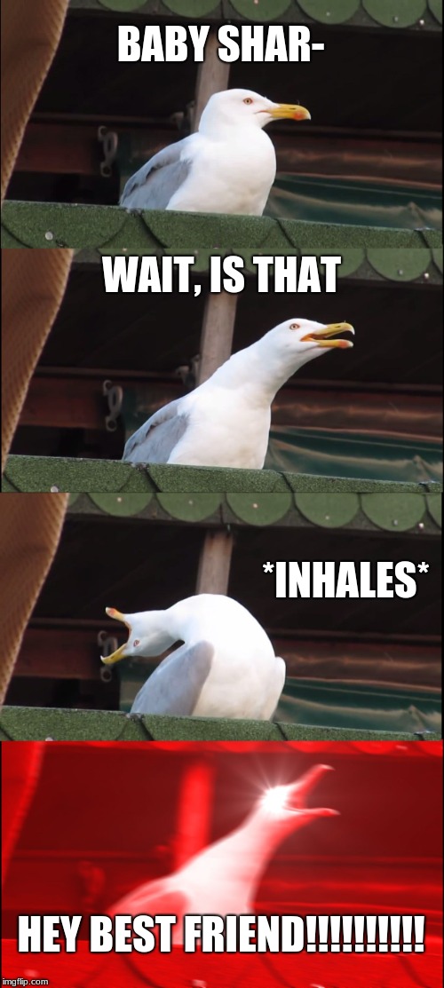 Inhaling Seagull | BABY SHAR-; WAIT, IS THAT; *INHALES*; HEY BEST FRIEND!!!!!!!!!! | image tagged in memes,inhaling seagull | made w/ Imgflip meme maker