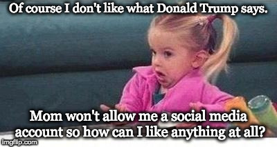 2010s logic! | Of course I don't like what Donald Trump says. Mom won't allow me a social media account so how can I like anything at all? | image tagged in shrugging kid | made w/ Imgflip meme maker