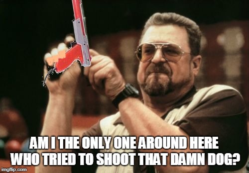 Am I The Only One Around Here Meme | AM I THE ONLY ONE AROUND HERE WHO TRIED TO SHOOT THAT DAMN DOG? | image tagged in memes,am i the only one around here | made w/ Imgflip meme maker
