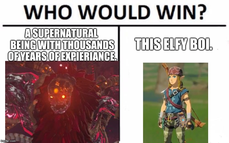 BOTW meme | THIS ELFY BOI. A SUPERNATURAL BEING WITH THOUSANDS OF YEARS OF EXPIERIANCE. | image tagged in memes,who would win,gaming,nintendo,legend of zelda,link | made w/ Imgflip meme maker