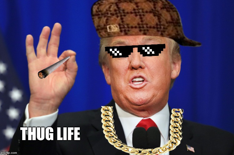 Donald Trump gone thug | THUG LIFE | image tagged in donald trump | made w/ Imgflip meme maker
