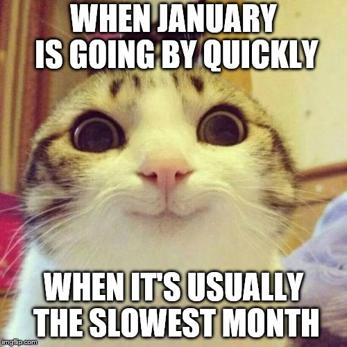 Smiling Cat Meme |  WHEN JANUARY IS GOING BY QUICKLY; WHEN IT'S USUALLY THE SLOWEST MONTH | image tagged in memes,smiling cat | made w/ Imgflip meme maker