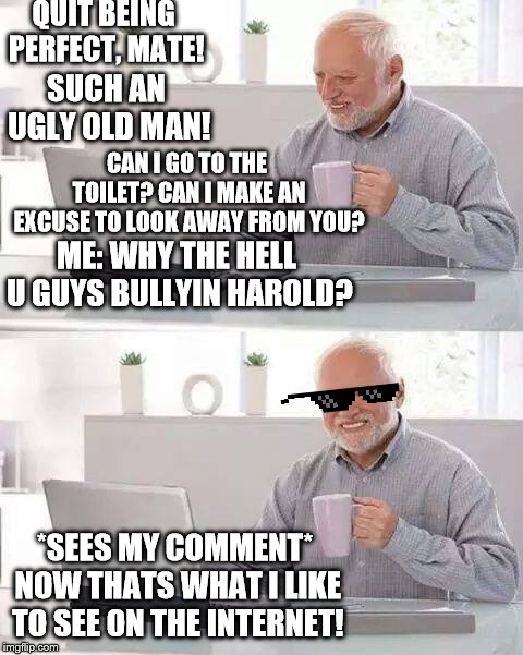Now That's What I Like To See On The Internet! | QUIT BEING PERFECT, MATE! SUCH AN UGLY OLD MAN! CAN I GO TO THE TOILET? CAN I MAKE AN EXCUSE TO LOOK AWAY FROM YOU? ME: WHY THE HELL U GUYS BULLYIN HAROLD? *SEES MY COMMENT* NOW THATS WHAT I LIKE TO SEE ON THE INTERNET! | image tagged in memes,hide the pain harold | made w/ Imgflip meme maker