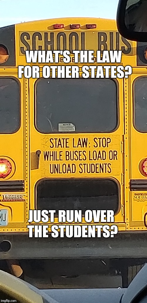What's the point of this!?!?!? | WHAT'S THE LAW FOR OTHER STATES? JUST RUN OVER THE STUDENTS? | image tagged in school,school bus,state law | made w/ Imgflip meme maker