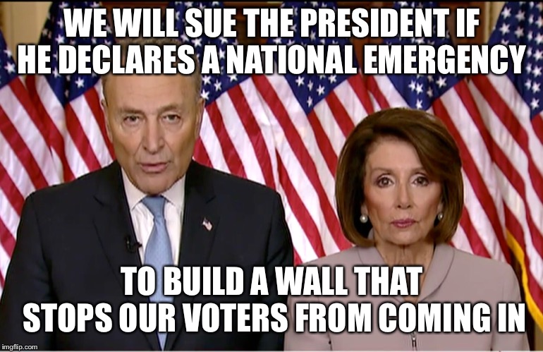 WE WILL SUE THE PRESIDENT IF HE DECLARES A NATIONAL EMERGENCY; TO BUILD A WALL THAT STOPS OUR VOTERS FROM COMING IN | image tagged in nancy pelosi,chuck schumer,democrats,illegal immigration,illegal aliens,donald trump | made w/ Imgflip meme maker