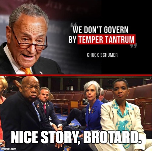 When libtards think we're as stupid as they are. | NICE STORY, BROTARD. | image tagged in chuck schumer,build the wall,libtards | made w/ Imgflip meme maker