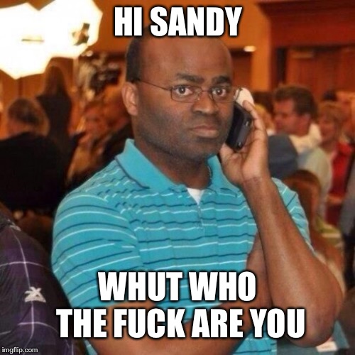 Calling the police | HI SANDY WHUT WHO THE F**K ARE YOU | image tagged in calling the police | made w/ Imgflip meme maker
