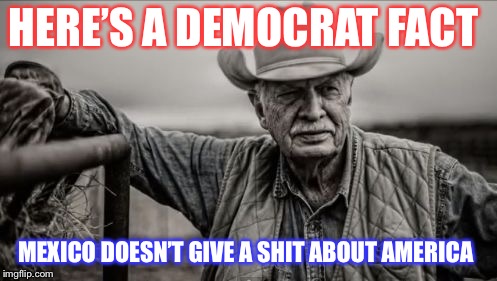So God Made A Farmer Meme | HERE’S A DEMOCRAT FACT; MEXICO DOESN’T GIVE A SHIT ABOUT AMERICA | image tagged in memes,so god made a farmer | made w/ Imgflip meme maker