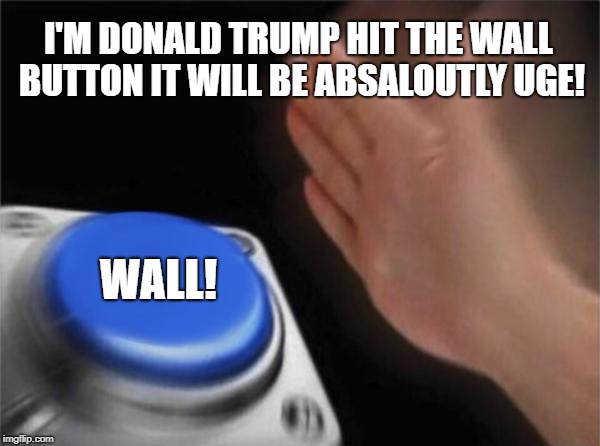 Blank Nut Button Meme | I'M DONALD TRUMP HIT THE WALL BUTTON IT WILL BE ABSALOUTLY UGE! WALL! | image tagged in memes,blank nut button | made w/ Imgflip meme maker