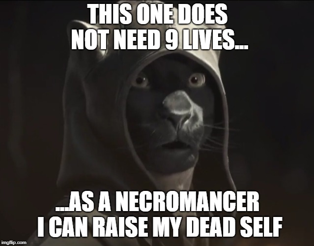 THIS ONE DOES NOT NEED 9 LIVES... ...AS A NECROMANCER I CAN RAISE MY DEAD SELF | made w/ Imgflip meme maker